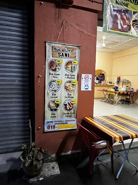 Mini Western Sani Picture 1