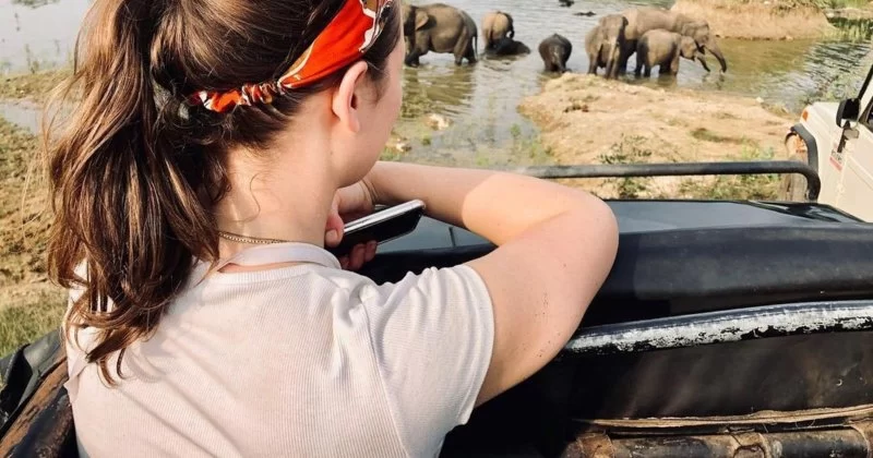 Nature Parks with Wildlife Safaris in Malaysia for Unforgettable Eco Adventures