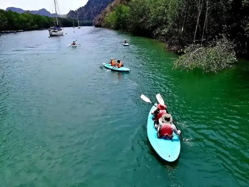 Discover Adventure Kayaking in Langkawi's Hidden Natural Wonders