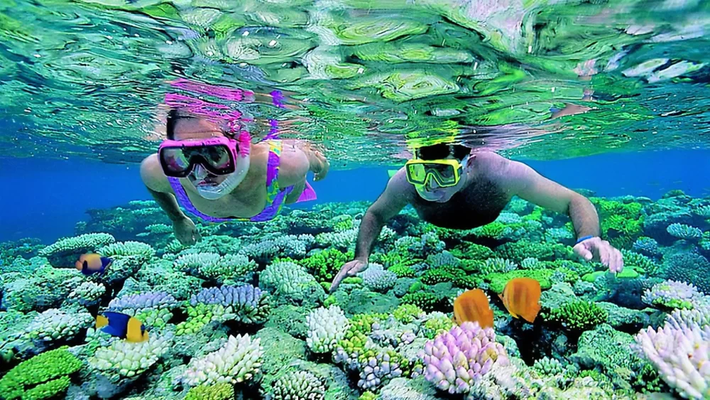 Adventure Snorkeling in Perhentian Islands: Explore the Best Snorkeling Spots and Marine Life