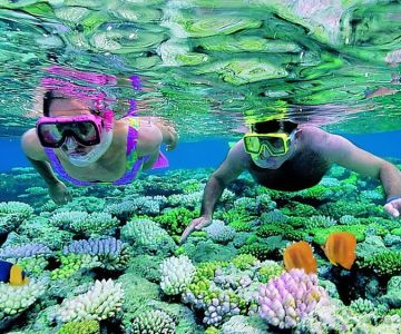 Adventure Snorkeling in Perhentian Islands: Explore the Best Snorkeling Spots and Marine Life