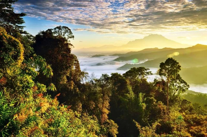 Best Nature Reserves for Trekking in Sabah: Explore the Wild Side of Borneo