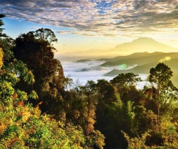 Best Nature Reserves for Trekking in Sabah: Explore the Wild Side of Borneo
