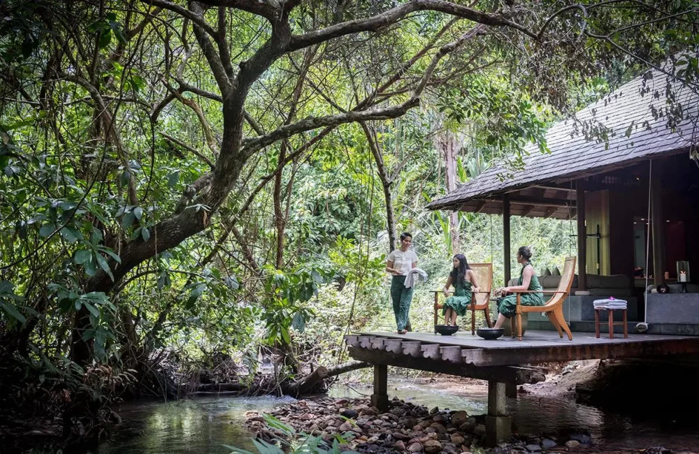 Discover Nature Lodges with Jungle Treks in Malaysia for an Unforgettable Eco-Adventure