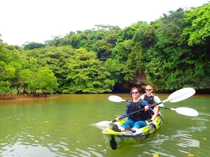 Adventure Kayaking Tours in Malaysian Rivers: Ultimate Guide for Travelers