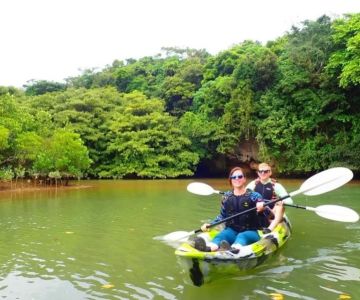 Adventure Kayaking Tours in Malaysian Rivers: Ultimate Guide for Travelers