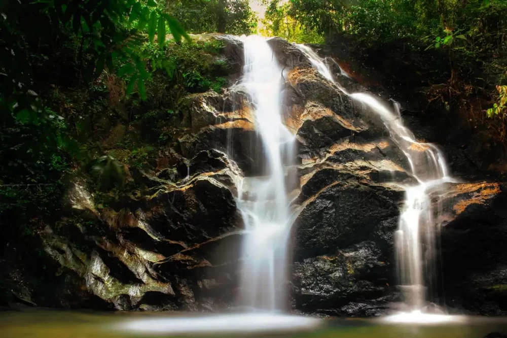 Discover Nature Lodges Near Malaysian Waterfalls for an Unforgettable Escape