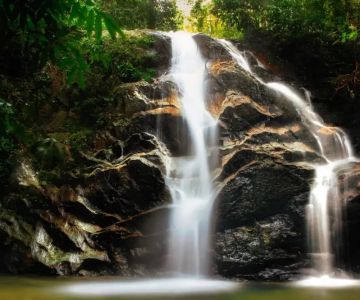 Discover Nature Lodges Near Malaysian Waterfalls for an Unforgettable Escape
