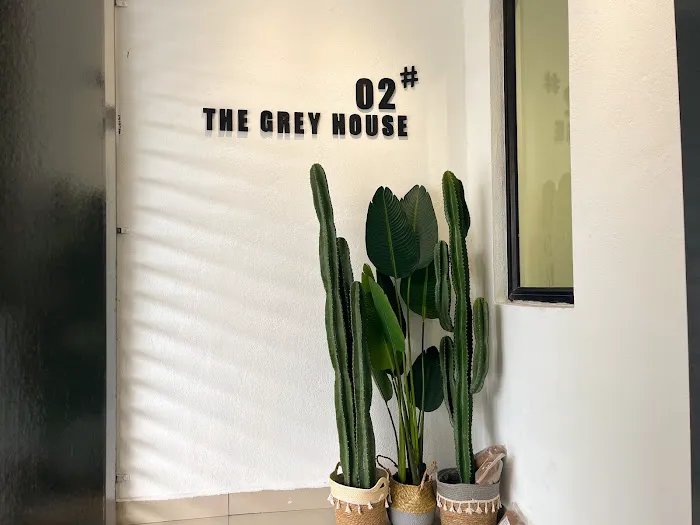 The Grey House #02 Picture 2