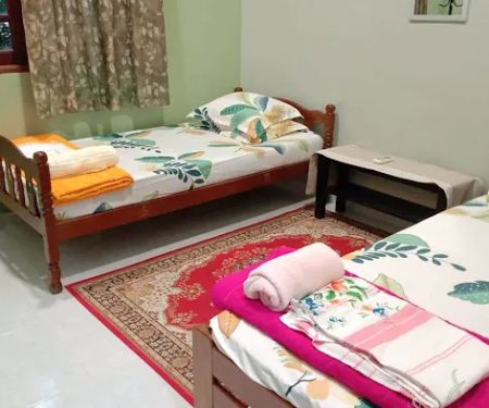 Du2019 Avocado Tree Homestay Atas Tol