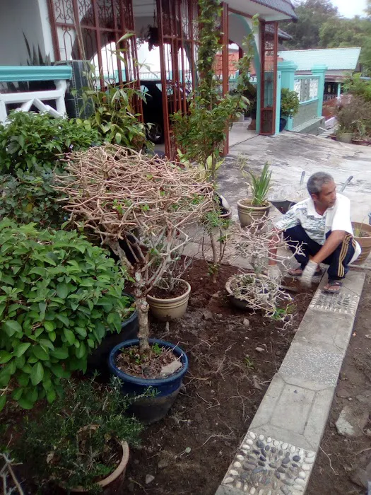 Homestay Di Machang ( Villa Adellia ) Picture 5