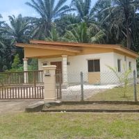 homestay slim river kg jaya ico