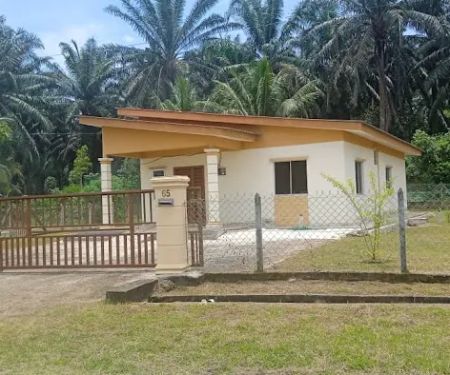 homestay slim river kg jaya