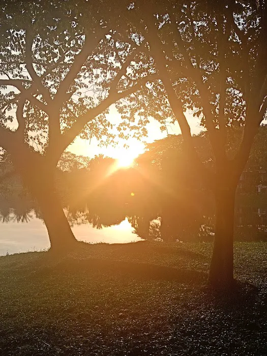 Carebins Tasik YDP Picture 5