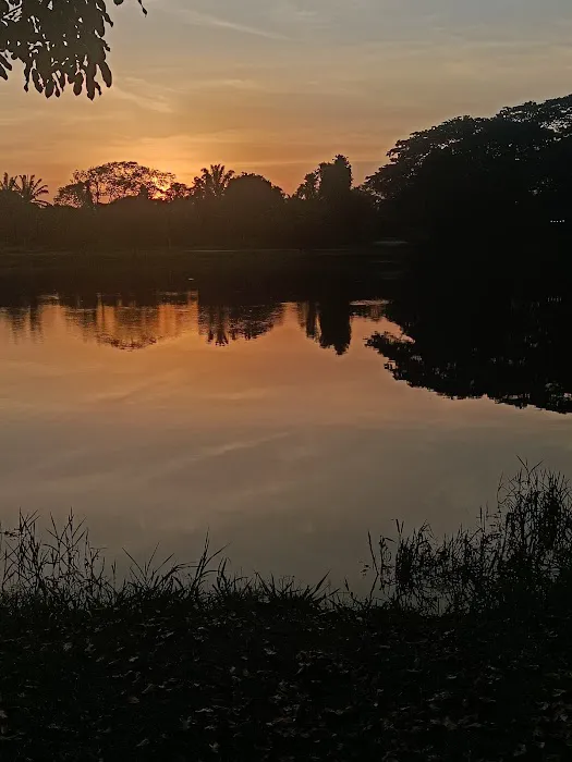 Carebins Tasik YDP Picture 6