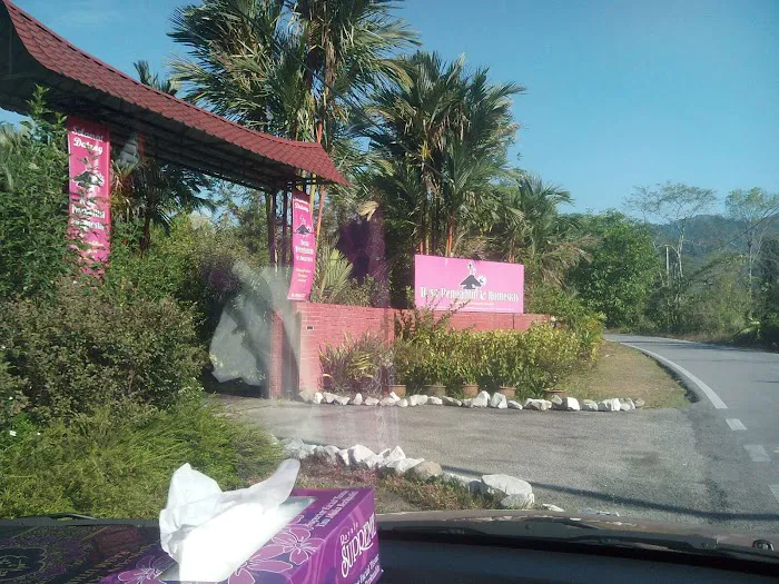 Desa Pengantin & Homestay Picture 7