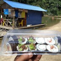 Sanctuary Ikan myKP kuala sat ico