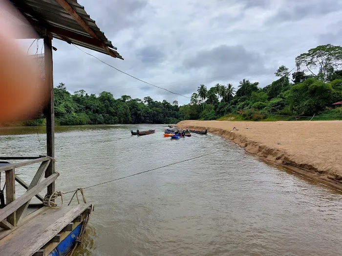 Sanctuary Ikan myKP kuala sat Picture 3