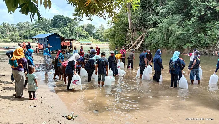 Sanctuary Ikan myKP kuala sat Picture 10