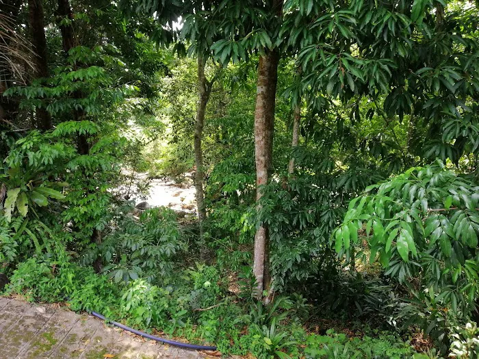 Laman Kita Suite @ Pulau Chekas Picture 5