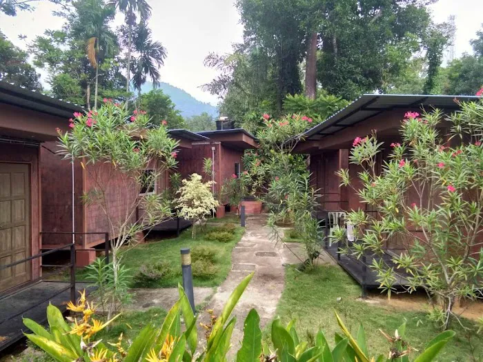 Homestay Kampung Peruas Picture 5