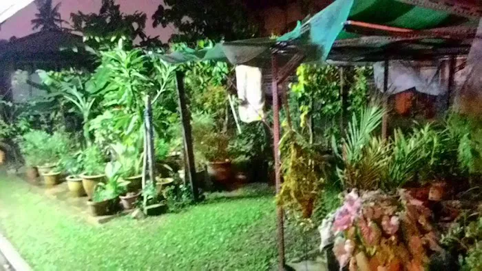 Ustaz Kuantan Homestay Picture 6