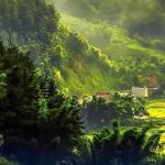Janki Nepal