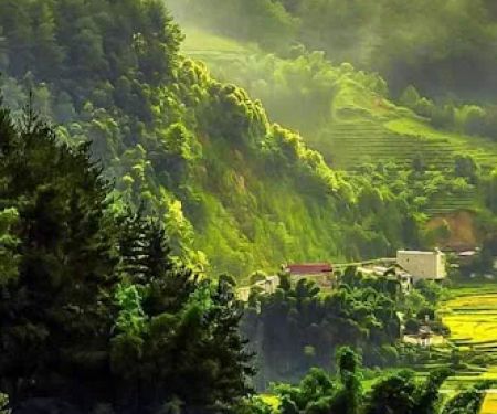 Janki Nepal