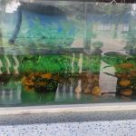 Abeyra Garden Guest House