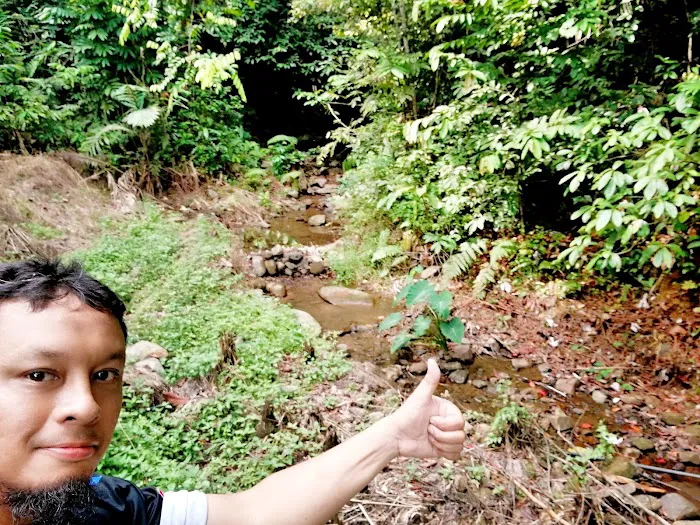 Stream. Waterpoint Picture 1