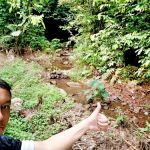 Stream. Waterpoint