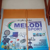 Melodi sport ico