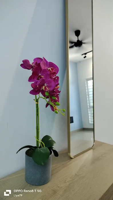 LZ BLUE OCEAN HOMESTAY Picture 1