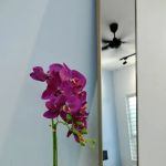 LZ BLUE OCEAN HOMESTAY
