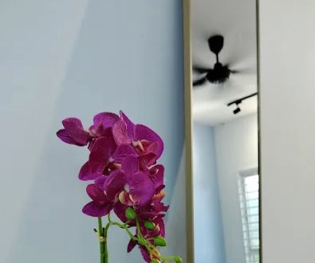 LZ BLUE OCEAN HOMESTAY
