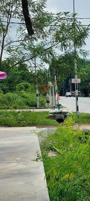 Taman Jenderam Budiman Picture 2