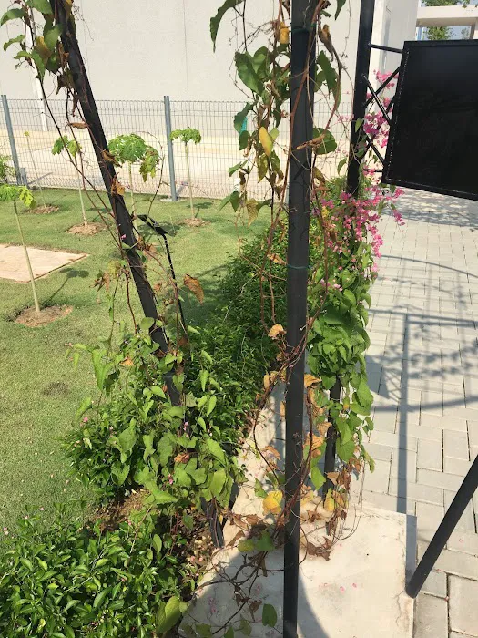 Jabuticaba Point @ Gamuda Cove Picture 2