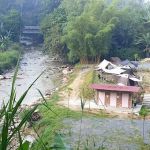 Wind Of Nature Camp