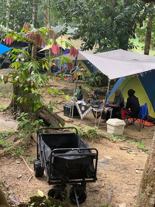 Draco Nature Camp Picture 2