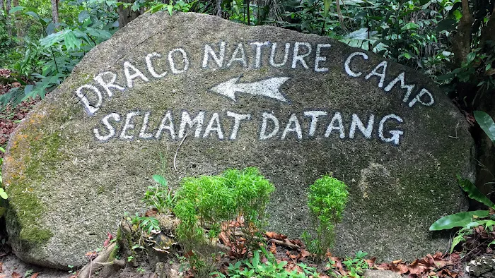 Draco Nature Camp Picture 5