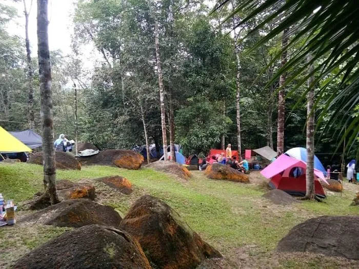 Draco Nature Camp Picture 8