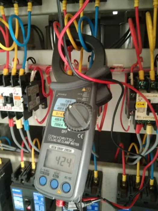 TAS electrical wiring Picture 2