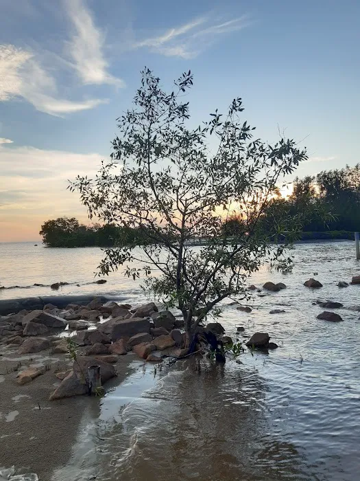 Bagan Lalang Beach Resort Picture 3