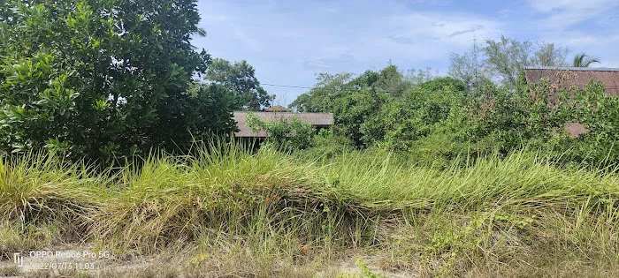 Bagan Lalang Beach Resort Picture 10