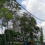 Pohon Jahar