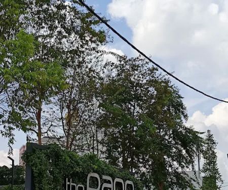 Pohon Jahar