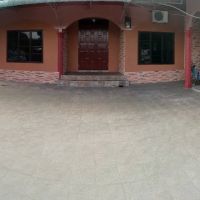 Pok Ya's ico
