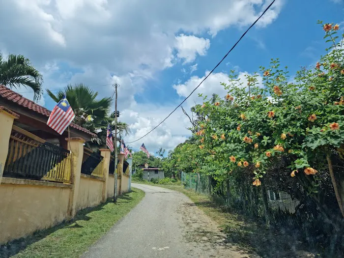Kampung Tekir Mentera Picture 3