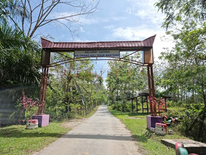Kampung Tekir Mentera Picture 9