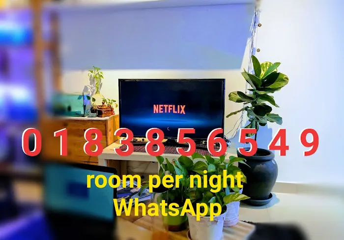 Roomstay Premium Picture 7
